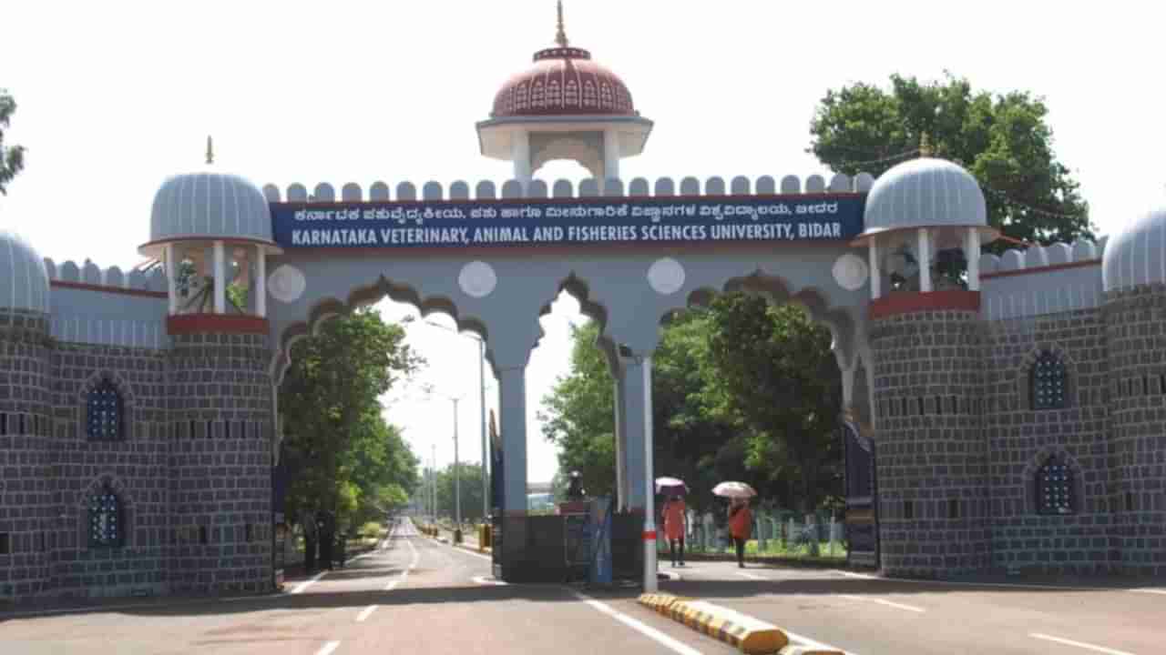 ಬೀದರ್: ಕರ್ನಾಟಕ ಪಶುವೈದ್ಯಕೀಯ ಪಶು ಮತ್ತು ಮೀನುಗಾರಿಕೆ ವಿಜ್ಞಾನಗಳ ವಿಶ್ವವಿದ್ಯಾಲಯದಲ್ಲಿ ಸಿಬ್ಬಂದಿ ಕೊರತೆ: 2104 ಹುದ್ದೆಗಳು ಖಾಲಿ, ಭರ್ತಿ ಯಾವಾಗ?