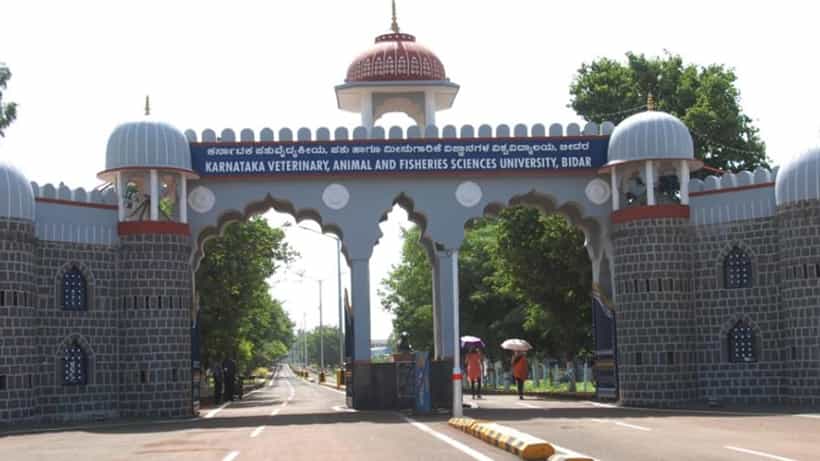 ಬೀದರ್: ಕರ್ನಾಟಕ ಪಶುವೈದ್ಯಕೀಯ ಪಶು ಮತ್ತು ಮೀನುಗಾರಿಕೆ ವಿಜ್ಞಾನಗಳ ವಿಶ್ವವಿದ್ಯಾಲಯದಲ್ಲಿ ಸಿಬ್ಬಂದಿ ಕೊರತೆ: 2104 ಹುದ್ದೆಗಳು ಖಾಲಿ, ಭರ್ತಿ ಯಾವಾಗ?