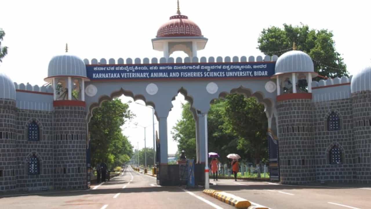 ಬೀದರ್: ಕರ್ನಾಟಕ ಪಶುವೈದ್ಯಕೀಯ ಪಶು ಮತ್ತು ಮೀನುಗಾರಿಕೆ ವಿಜ್ಞಾನಗಳ ವಿಶ್ವವಿದ್ಯಾಲಯದಲ್ಲಿ ಸಿಬ್ಬಂದಿ ಕೊರತೆ: 2104 ಹುದ್ದೆಗಳು ಖಾಲಿ, ಭರ್ತಿ ಯಾವಾಗ? ಬೀದರ್: ಕರ್ನಾಟಕ ಪಶುವೈದ್ಯಕೀಯ ಪಶು ಮತ್ತು ಮೀನುಗಾರಿಕೆ ವಿಜ್ಞಾನಗಳ ವಿಶ್ವವಿದ್ಯಾಲಯದಲ್ಲಿ ಸಿಬ್ಬಂದಿ ಕೊರತೆ: 2104 ಹುದ್ದೆಗಳು ಖಾಲಿ, ಭರ್ತಿ ಯಾವಾಗ?