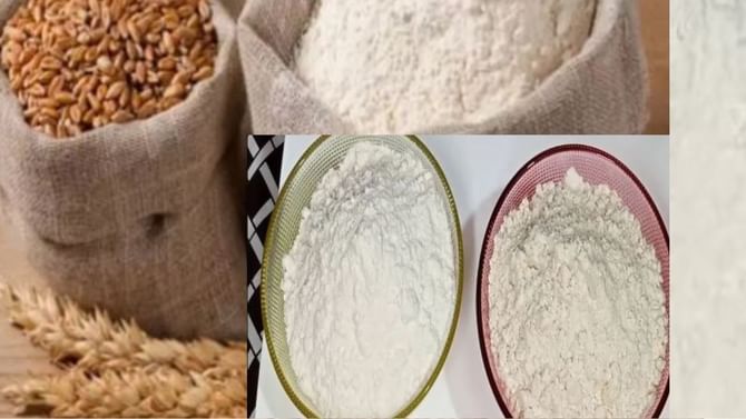 Wheat Flour-Maida: ಗೋಧಿ ಹಿಟ್ಟು ಮತ್ತು ಮೈದಾ ಎರಡನ್ನೂ ಗೋಧಿಯಿಂದಲೇ ತಯಾರಿಸಲಾಗುತ್ತದೆ, ಆದರೆ ಮೈದಾ ಹಾನಿಕಾರಕ! ಯಾಕೆ ಗೊತ್ತಾ?