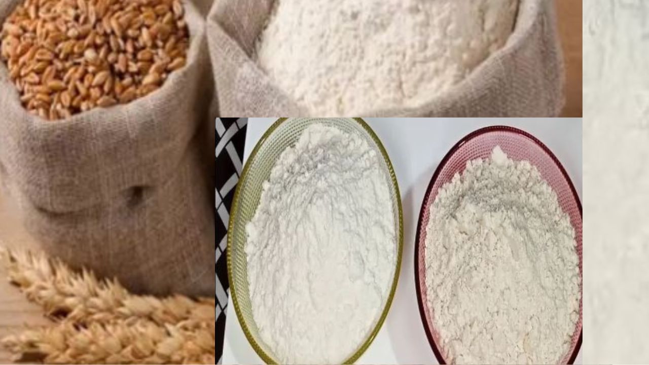 Wheat Flour-Maida: ಗೋಧಿ ಹಿಟ್ಟು ಮತ್ತು ಮೈದಾ ಎರಡನ್ನೂ ಗೋಧಿಯಿಂದಲೇ ತಯಾರಿಸಲಾಗುತ್ತದೆ, ಆದರೆ ಮೈದಾ ಹಾನಿಕಾರಕ! ಯಾಕೆ ಗೊತ್ತಾ?