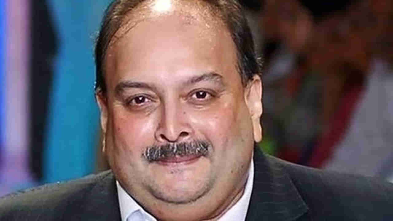 Mehul Choksi: ಮೆಹುಲ್ ಚೋಕ್ಸಿಗೆ ರಿಲೀಫ್; ಆಂಟಿಗುವಾ ಮತ್ತು ಬಾರ್ಬುಡಾದಿಂದ ಗಡಿಪಾರು ಸಾಧ್ಯವಿಲ್ಲ ಎಂದ ಹೈಕೋರ್ಟ್