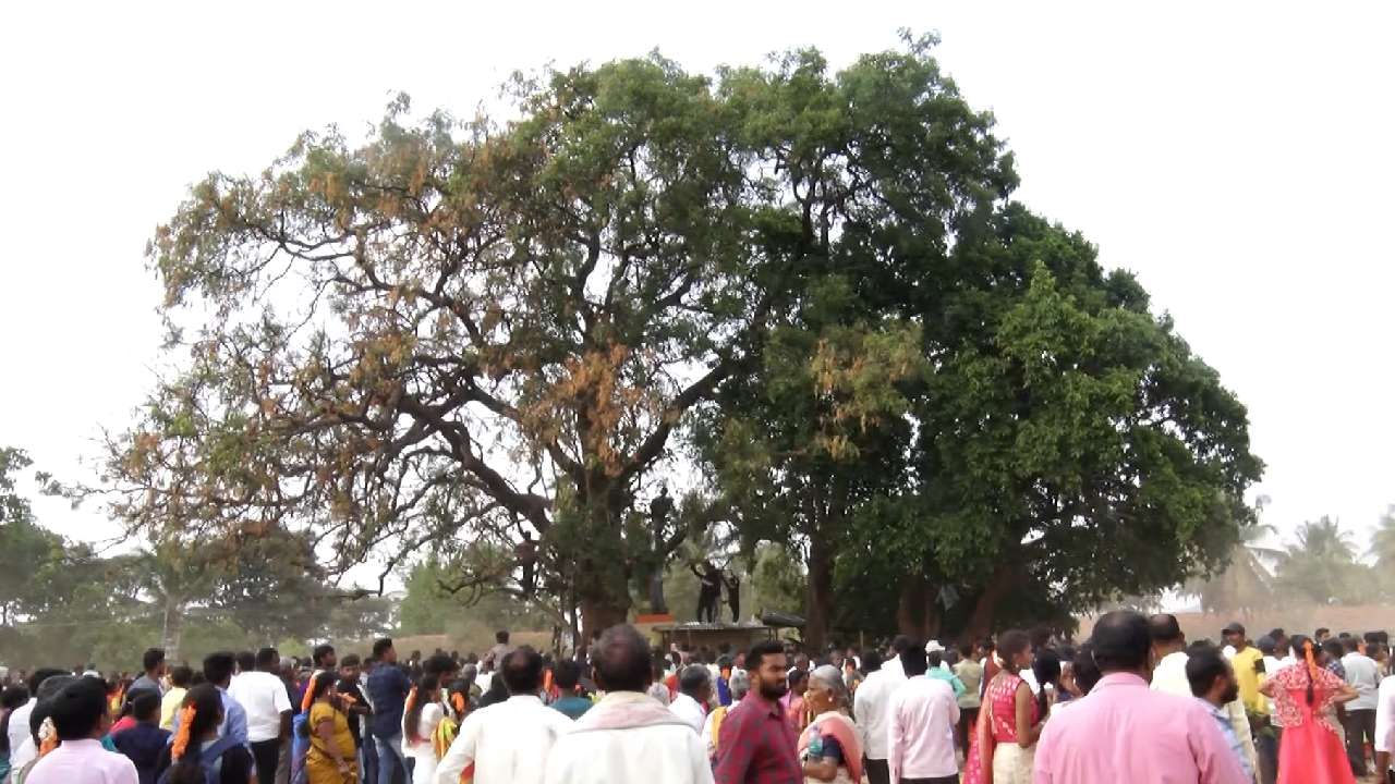 Bitter neem leaves Prasada in Temple of Maheshwaramma Fair and Brahma Rathotsava at Manchenahalli Chikkaballapur 
