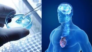 ಜ್ವರ ಬಂದು ಹೋದಮೇಲೆ ನಿಮ್ಮ ರೋಗನಿರೋಧಕ ಶಕ್ತಿ ಕುಗ್ಗಿದೆಯೇ? ಅರೋಗ್ಯ ಸುಧಾರಣೆಗೆ ಈ ಆಹಾರಗಳನ್ನು ಸೇವಿಸಿ