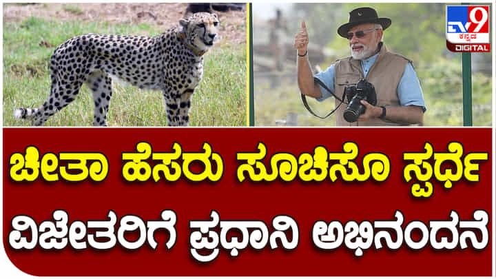 Cheetah Naming: ಚೀತಾಗೆ ಹೆಸರು ಸೂಚಿಸಿ ಜಯಶಾಲಿಯಾದವರಿಗೆ ಪ್ರಧಾನಿ ಮೋದಿ ಅಭಿನಂದನೆ Cheetah Naming: ಚೀತಾಗೆ ಹೆಸರು ಸೂಚಿಸಿ ಜಯಶಾಲಿಯಾದವರಿಗೆ ಪ್ರಧಾನಿ ಮೋದಿ ಅಭಿನಂದನೆ