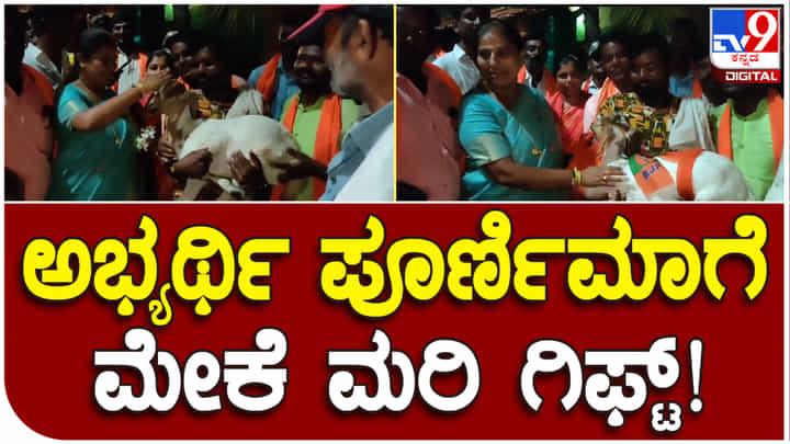 ಚಿತ್ರದುರ್ಗ: ಬಿಜೆಪಿ ಅಭ್ಯರ್ಥಿಗೆ ಮೇಕೆ ಮರಿ ಗಿಫ್ಟ್ ನೀಡಿದ ಕಾರ್ಯಕರ್ತರು ಚಿತ್ರದುರ್ಗ: ಬಿಜೆಪಿ ಅಭ್ಯರ್ಥಿಗೆ ಮೇಕೆ ಮರಿ ಗಿಫ್ಟ್ ನೀಡಿದ ಕಾರ್ಯಕರ್ತರು