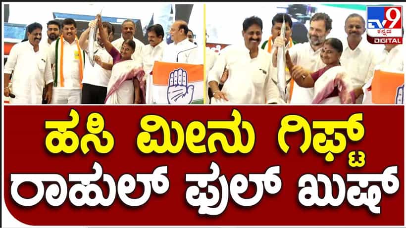 ಪ್ರಚಾರದ ಕಣದಲ್ಲಿ ಒಂದಷ್ಟು ಗಮ್ಮತ್ತು; ಡೇಟ್ ಆಫ್ ಬರ್ತೇ ಗೊತ್ತಿಲ್ಲ ಎಂದ ಸಿದ್ದರಾಮಯ್ಯ, ರಾಹುಲ್ ಗಾಂಧಿಗೆ ಕೊಟ್ರು ಹಸಿ ಮೀನು