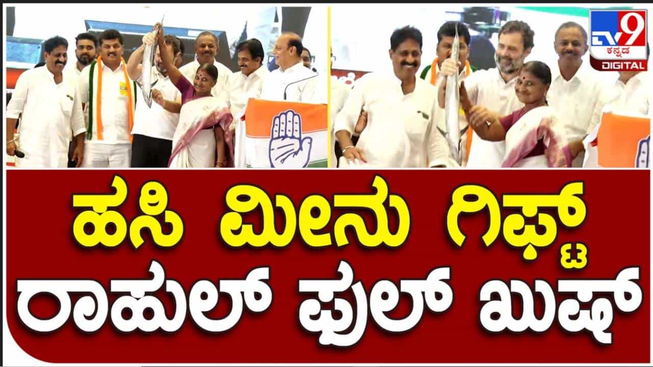 ಪ್ರಚಾರದ ಕಣದಲ್ಲಿ ಒಂದಷ್ಟು ಗಮ್ಮತ್ತು; ಡೇಟ್ ಆಫ್ ಬರ್ತೇ ಗೊತ್ತಿಲ್ಲ ಎಂದ ಸಿದ್ದರಾಮಯ್ಯ, ರಾಹುಲ್ ಗಾಂಧಿಗೆ ಕೊಟ್ರು ಹಸಿ ಮೀನು ಪ್ರಚಾರದ ಕಣದಲ್ಲಿ ಒಂದಷ್ಟು ಗಮ್ಮತ್ತು; ಡೇಟ್ ಆಫ್ ಬರ್ತೇ ಗೊತ್ತಿಲ್ಲ ಎಂದ ಸಿದ್ದರಾಮಯ್ಯ, ರಾಹುಲ್ ಗಾಂಧಿಗೆ ಕೊಟ್ರು ಹಸಿ ಮೀನು
