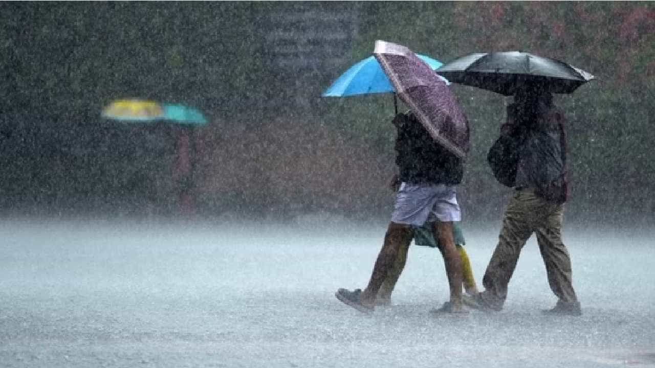 Karnataka Rain: ಚಿಕ್ಕಮಗಳೂರು, ಶಿವಮೊಗ್ಗ, ಹಾಸನ ಸೇರಿದಂತೆ ರಾಜ್ಯದ ದಕ್ಷಿಣ ಒಳನಾಡಿನ ಜಿಲ್ಲೆಗಳಲ್ಲಿ ಗುಡುಗು ಸಹಿತ ಮಳೆ ಸಾಧ್ಯತೆ Karnataka Rain: ಚಿಕ್ಕಮಗಳೂರು, ಶಿವಮೊಗ್ಗ, ಹಾಸನ ಸೇರಿದಂತೆ ರಾಜ್ಯದ ದಕ್ಷಿಣ ಒಳನಾಡಿನ ಜಿಲ್ಲೆಗಳಲ್ಲಿ ಗುಡುಗು ಸಹಿತ ಮಳೆ ಸಾಧ್ಯತೆ