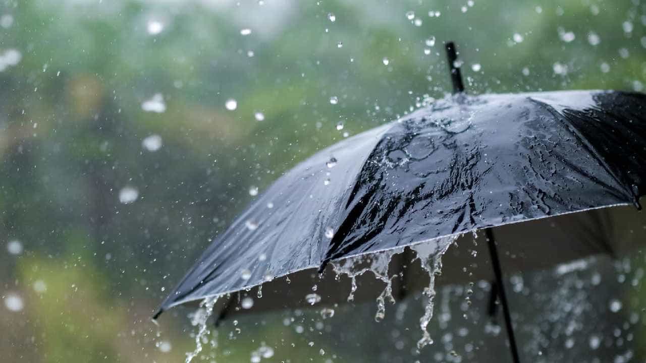 Karnataka Weather: ಉಡುಪಿ, ಮೈಸೂರು, ಹಾಸನ ಸೇರಿದಂತೆ ಹಲವು ಜಿಲ್ಲೆಗಳಲ್ಲಿ ಗುಡುಗು ಸಹಿತ ಮಳೆಯಾಗುವ ಸಾಧ್ಯತೆ Karnataka Weather: ಉಡುಪಿ, ಮೈಸೂರು, ಹಾಸನ ಸೇರಿದಂತೆ ಹಲವು ಜಿಲ್ಲೆಗಳಲ್ಲಿ ಗುಡುಗು ಸಹಿತ ಮಳೆಯಾಗುವ ಸಾಧ್ಯತೆ