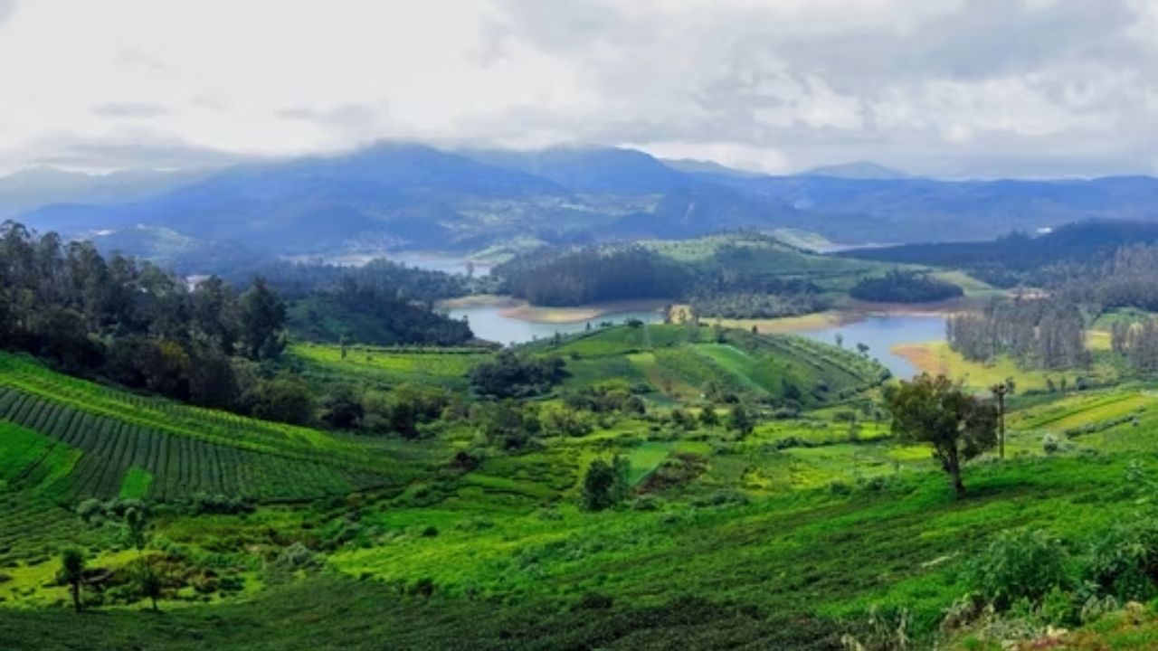 ಊಟಿ: ಚಹಾ ತೋಟಗಳು ಮತ್ತು ಗಿರಿಧಾಮಗಳ ಪ್ರಾಕೃತಿಕ ದೃಶ್ಯಗಳ ಸೌಂದರ್ಯವನ್ನು ಸವಿಯಲು ನೀವು ಊಟಿಗೆ ಪ್ರವಾಸ ಕೈಗೊಳ್ಳಬಹುದು. ಇದೊಂದು ಜನಪ್ರಿಯ ಪ್ರವಾಸಿ ತಾಣವಾಗಿದೆ. ಇಲ್ಲಿನ ಪ್ರಕೃತಿಯ ವಿಹಂಗಮ ನೋಟವನ್ನು ಸವಿಯಲು ನೀಲಗಿರಿ ಮೌಂಟೇನ್ ರೈಲ್ವೆಯಲ್ಲಿ ಪ್ರಯಾಣ ಮಾಡಿ. ಮತ್ತು ದೊಡ್ಡ ಬೆಟ್ಟ ಶಿಖರಕ್ಕೆ ಟ್ರೆಕ್ಕಿಂಗ್ ಕೈಗೊಳ್ಳಿ.
