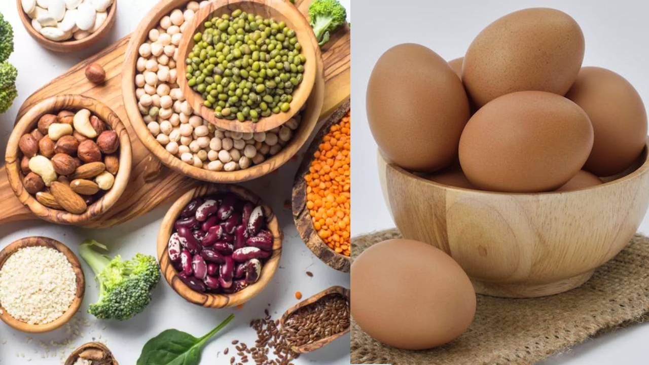 ಮೊಟ್ಟೆಗಿಂತ ಹೆಚ್ಚಿನ ಪ್ರೊಟೀನ್ ನೀಡಬಲ್ಲ 5 ಸಸ್ಯಾಹಾರಿ ಆಹಾರಗಳು Kannada News