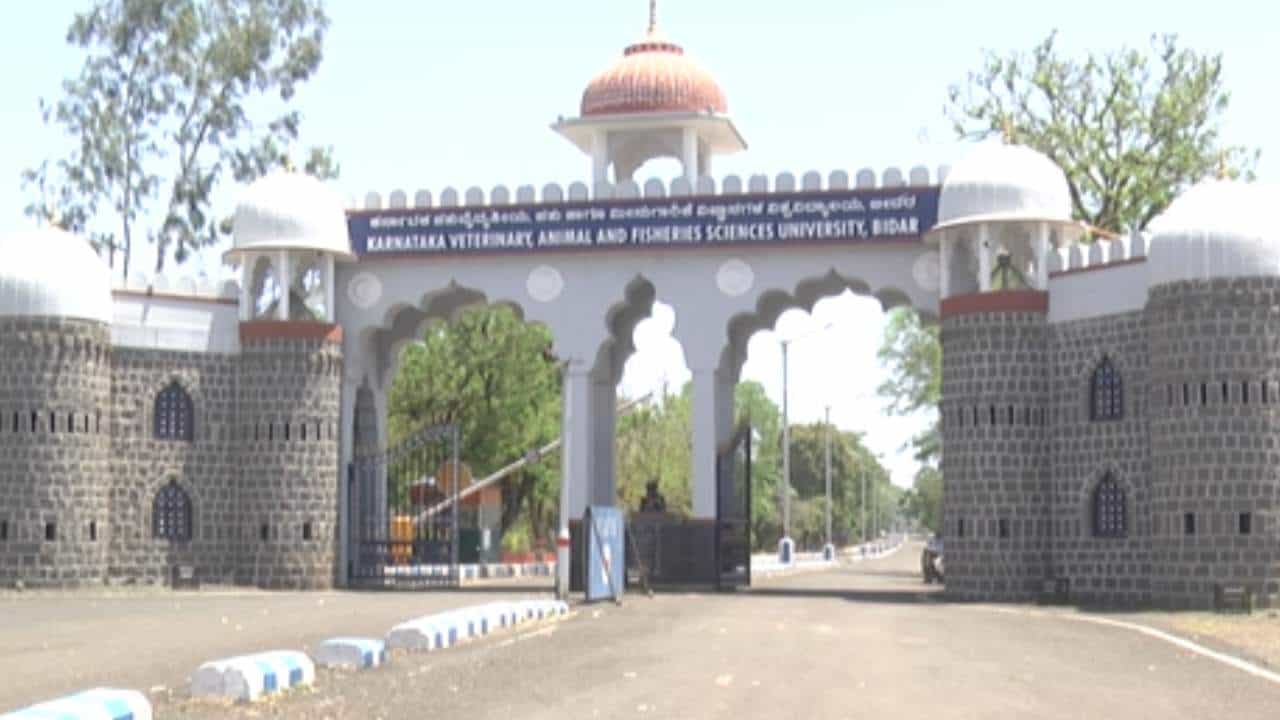 ಬೀದರ್ ಪಶು ಮತ್ತು ಮೀನುಗಾರಿಕೆ ವಿಜ್ಞಾನಗಳ ವಿಶ್ವವಿದ್ಯಾಲಯದಲ್ಲಿ 2 ಸಾವಿರಕ್ಕೂ ಹೆಚ್ಚು ಹುದ್ದೆಗಳು ಖಾಲಿ: ಭರ್ತಿಗೆ ಒತ್ತಾಯ ಬೀದರ್ ಪಶು ಮತ್ತು ಮೀನುಗಾರಿಕೆ ವಿಜ್ಞಾನಗಳ ವಿಶ್ವವಿದ್ಯಾಲಯದಲ್ಲಿ 2 ಸಾವಿರಕ್ಕೂ ಹೆಚ್ಚು ಹುದ್ದೆಗಳು ಖಾಲಿ: ಭರ್ತಿಗೆ ಒತ್ತಾಯ