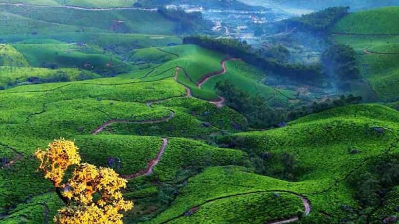 ಕೇರಳದ ಈ ಪ್ರದೇಶ ಯಾವುದು ಎಂದು ಕಂಡುಹಿಡಿಯುವಿರಾ? ಇದೀಗ ಸಖತ್ ವೈರಲ್