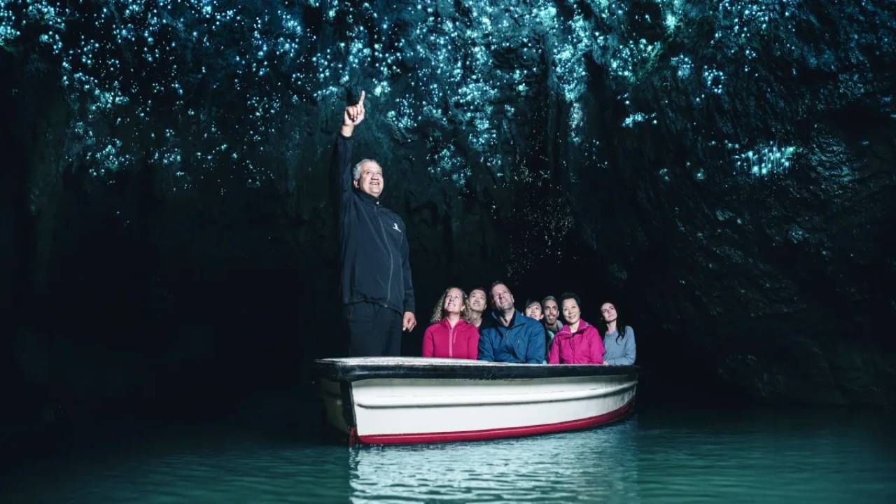 ವೈಟೊಮೊ ಗ್ಲೋವರ್ಮ್ ಗುಹೆಗಳು, ನ್ಯೂಜಿಲೆಂಡ್(Waitomo Glowworm Caves, New Zealand): ಈ ಗುಹೆಗಳ ಗೋಡೆಗಳು ಬಯೋಲ್ಯುಮಿನೆಸೆಂಟ್ ಗ್ಲೋವರ್ಮ್‌ಗಳಿಂದ ಮುಚ್ಚಲ್ಪಟ್ಟಿವೆ, ಇದು ನೈಸರ್ಗಿಕ ಬೆಳಕಿನ  ಪ್ರದರ್ಶನವನ್ನು ಸೃಷ್ಟಿಸುತ್ತದೆ.
