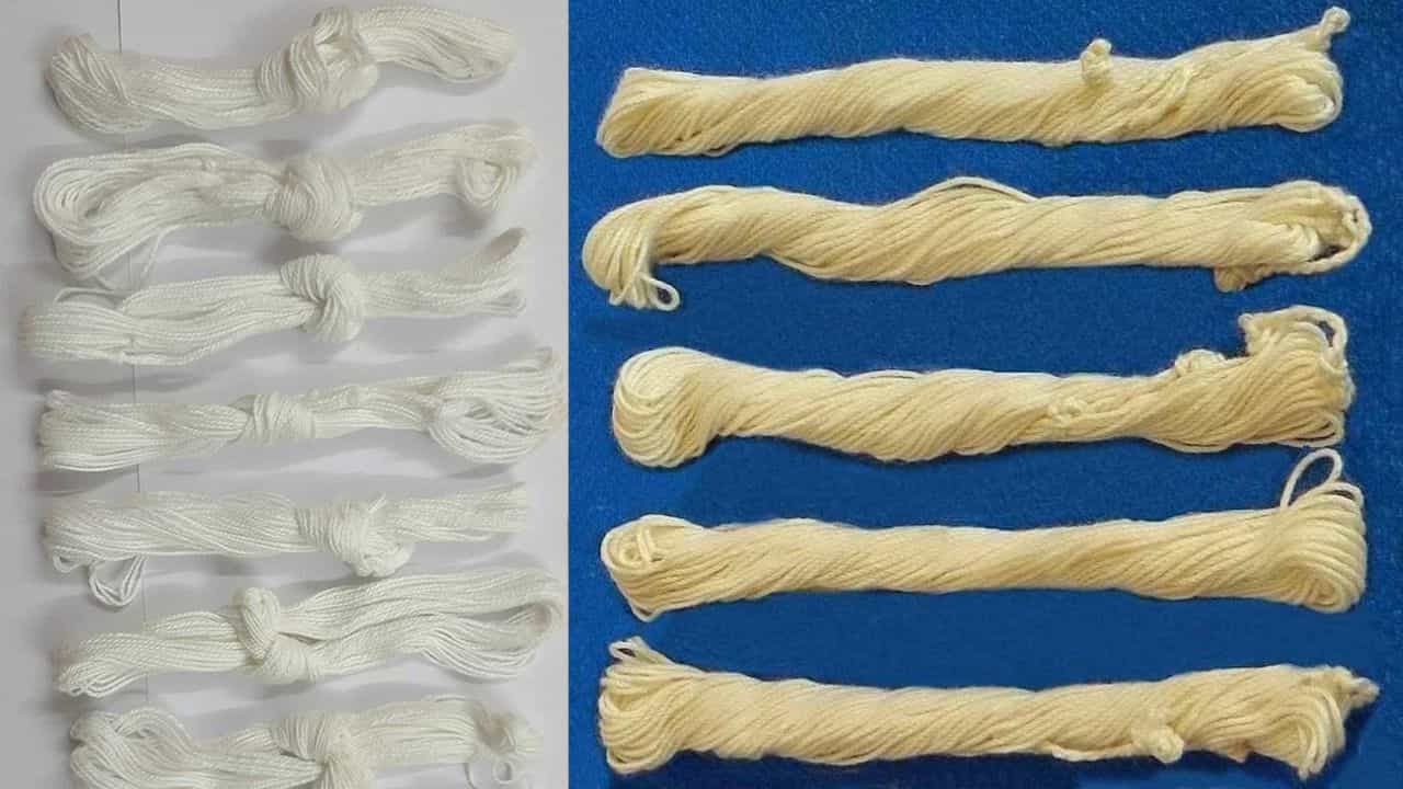 Sacred Thread: ಯಜ್ಞೋಪವೀತ ಸಂಸ್ಕಾರ -ಏನಿದು ಯಜ್ಞೋಪವೀತದ ನಿಯಮಗಳು? ಯಜ್ಞೋಪವೀತದ ವೈಜ್ಞಾನಿಕ ಮಹತ್ವ ವಿವರ ಇಲ್ಲಿದೆ Sacred Thread: ಯಜ್ಞೋಪವೀತ ಸಂಸ್ಕಾರ -ಏನಿದು ಯಜ್ಞೋಪವೀತದ ನಿಯಮಗಳು? ಯಜ್ಞೋಪವೀತದ ವೈಜ್ಞಾನಿಕ ಮಹತ್ವ ವಿವರ ಇಲ್ಲಿದೆ