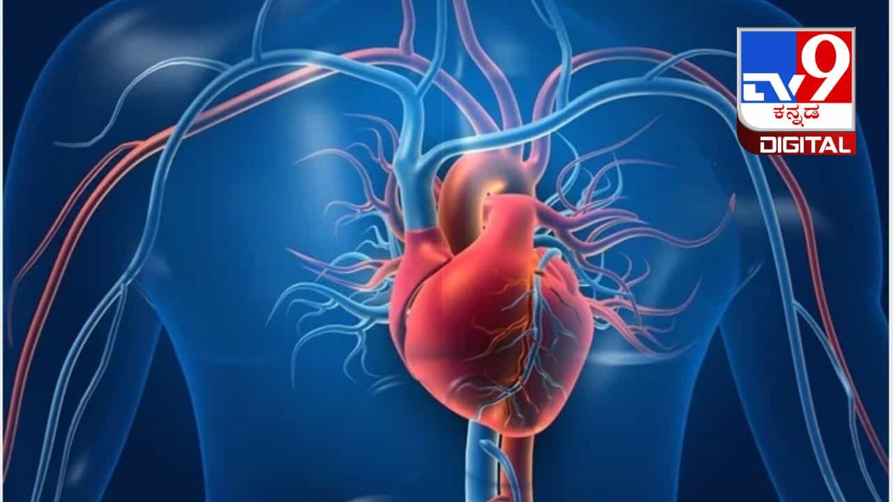 Heart Health: ಆರೋಗ್ಯಕರ ಹೃದಯಕ್ಕಾಗಿ ತಜ್ಞರು ನೀಡಿರುವ ಸಲಹೆ ಇಲ್ಲಿವೆ Heart Health: ಆರೋಗ್ಯಕರ ಹೃದಯಕ್ಕಾಗಿ ತಜ್ಞರು ನೀಡಿರುವ ಸಲಹೆ ಇಲ್ಲಿವೆ
