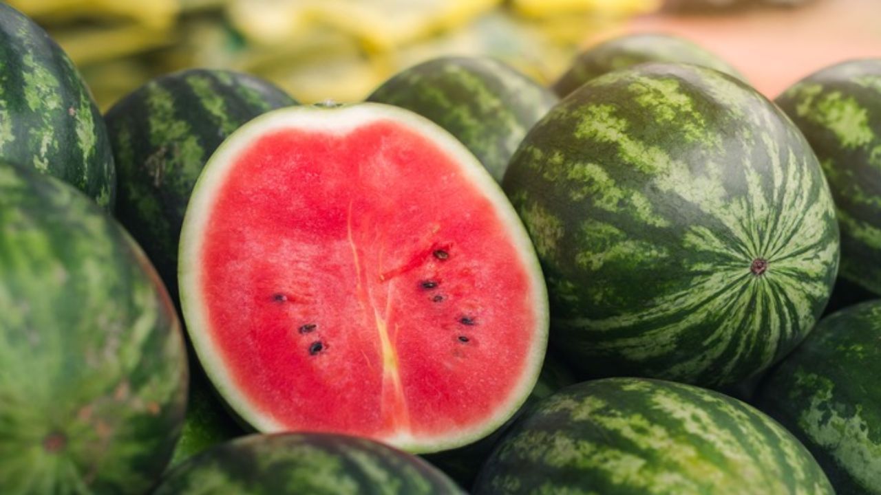 Watermelon: ಕಲ್ಲಂಗಡಿ ಹಣ್ಣಿನ ಪಕ್ವತೆಯನ್ನು ಪರಿಶೀಲಿಸುವ ಸುಲಭ ಸಲಹೆಗಳು