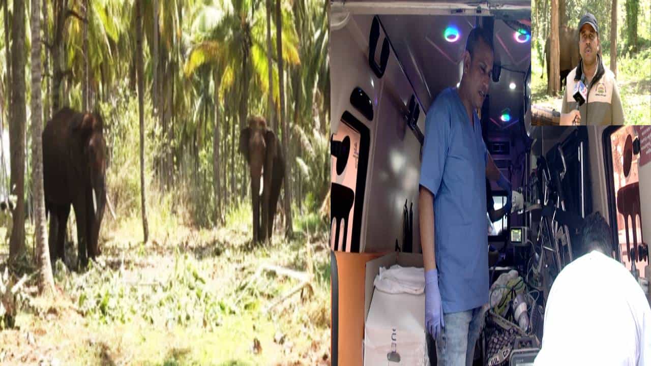 ಆನೆ ದಾಳಿಗೆ ತುತ್ತಾಗಿರುವ ಡಾ.ವಿನಯ, ಜೀರೋ ಟ್ರಾಫಿಕ್ನಲ್ಲಿ ಬೆಂಗಳೂರಿಗೆ ಶಿಫ್ಟ್; ವೈದ್ಯರ ಸ್ಥಿತಿ ಗಂಭೀರ ಆನೆ ದಾಳಿಗೆ ತುತ್ತಾಗಿರುವ ಡಾ.ವಿನಯ, ಜೀರೋ ಟ್ರಾಫಿಕ್ನಲ್ಲಿ ಬೆಂಗಳೂರಿಗೆ ಶಿಫ್ಟ್; ವೈದ್ಯರ ಸ್ಥಿತಿ ಗಂಭೀರ