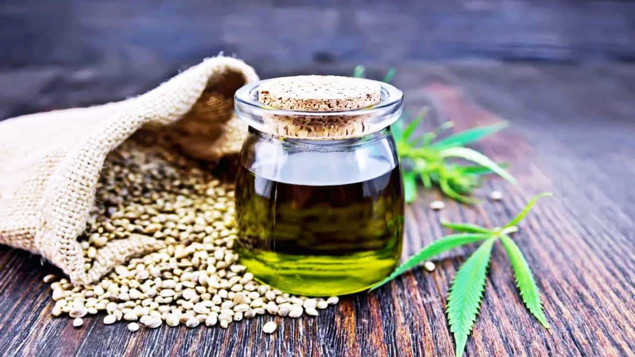 ಬೇಸಿಗೆಯಲ್ಲಿ ನಿಮ್ಮ ಚರ್ಮವನ್ನ ರಕ್ಷಿಸಲು ಸೆಣಬಿನ ಬೀಜದ ಎಣ್ಣೆಯು ಉಪಯುಕ್ತವಾಗಿದೆ? ಇದರ ಪ್ರಯೋಜನಗಳು ಹೀಗಿವೆ ಬೇಸಿಗೆಯಲ್ಲಿ ನಿಮ್ಮ ಚರ್ಮವನ್ನ ರಕ್ಷಿಸಲು ಸೆಣಬಿನ ಬೀಜದ ಎಣ್ಣೆಯು ಉಪಯುಕ್ತವಾಗಿದೆ? ಇದರ ಪ್ರಯೋಜನಗಳು ಹೀಗಿವೆ