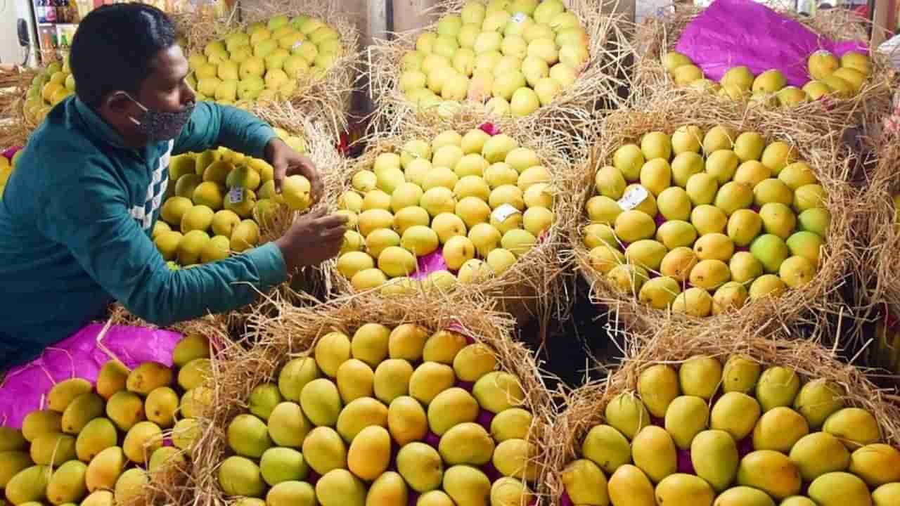 Mango Price: ಮಾವು ಪ್ರಿಯರಿಗೆ ಕಹಿ ಸುದ್ದಿ, ಈ ಬಾರಿ ಬೆಲೆ ದುಬಾರಿ: ದರ ಏರಿಕೆಯ ಸತ್ಯ ಇಲ್ಲಿದೆ