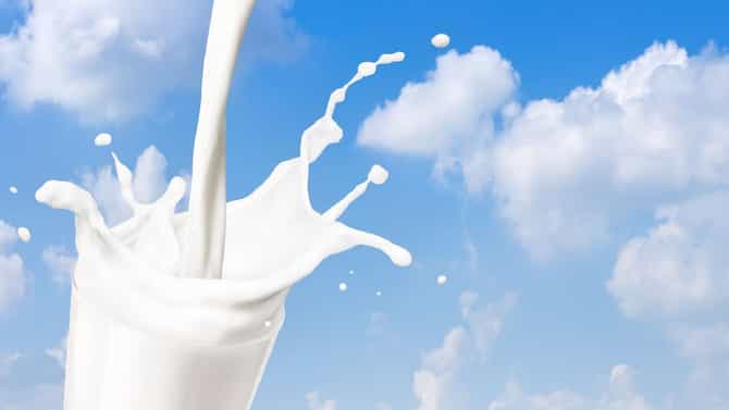 Milk Price Hike: ವಿದ್ಯುತ್​ ಆಯ್ತು ಈಗ ಗ್ರಾಹಕರಿಗೆ ತಟ್ಟಲಿದೆಯಾ ಹಾಲಿನ ದರ ಏರಿಕೆ ಬಿಸಿ?