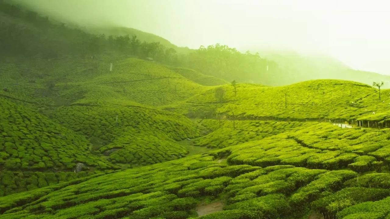 Amazing Kerala Package by IRCTC Now Visit Kerala at a Budget Friendly Price
