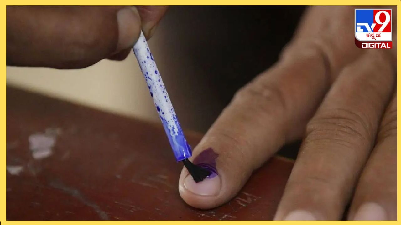 Election Ink: ಮೈಸೂರಿನಲ್ಲಿ ಮಾತ್ರ ತಯಾರಾಗುತ್ತದೆ ಮತದಾನದ ಶಾಯಿ; ಇಲ್ಲಿದೆ ಸ್ವಾರಸ್ಯಕರ ಮಾಹಿತಿ