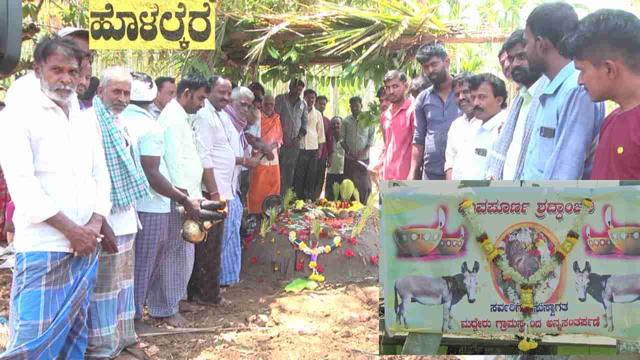 ಕೋಟೆನಾಡಿನ ಮದ್ದೇರು ಗ್ರಾಮದ ಜಾತ್ರೆಯಲ್ಲಿ ಸಾವಿಗೀಡಾದ ಕತ್ತೆ: ದೇವರಂತೆ ಪೂಜಿಸಿ, ಭಾವಪೂರ್ಣ ಶ್ರದ್ದಾಂಜಲಿ!