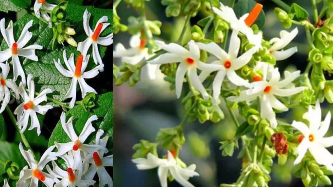 ವಾಸ್ತು ಸಲಹೆ: ವ್ಯಾಪಾರದಲ್ಲಿ ನಷ್ಟ ಅನುಭವಿಸುತ್ತಿದ್ದೀರಾ? ಈ ವಾಸ್ತು ಟಿಪ್ಸ್ ಪಾಲಿಸಿದರೆ ದಾರಿದ್ರ್ಯ ತೊಲಗುವುದು ಖಚಿತ ವಾಸ್ತು ಸಲಹೆ: ವ್ಯಾಪಾರದಲ್ಲಿ ನಷ್ಟ ಅನುಭವಿಸುತ್ತಿದ್ದೀರಾ? ಈ ವಾಸ್ತು ಟಿಪ್ಸ್ ಪಾಲಿಸಿದರೆ ದಾರಿದ್ರ್ಯ ತೊಲಗುವುದು ಖಚಿತ