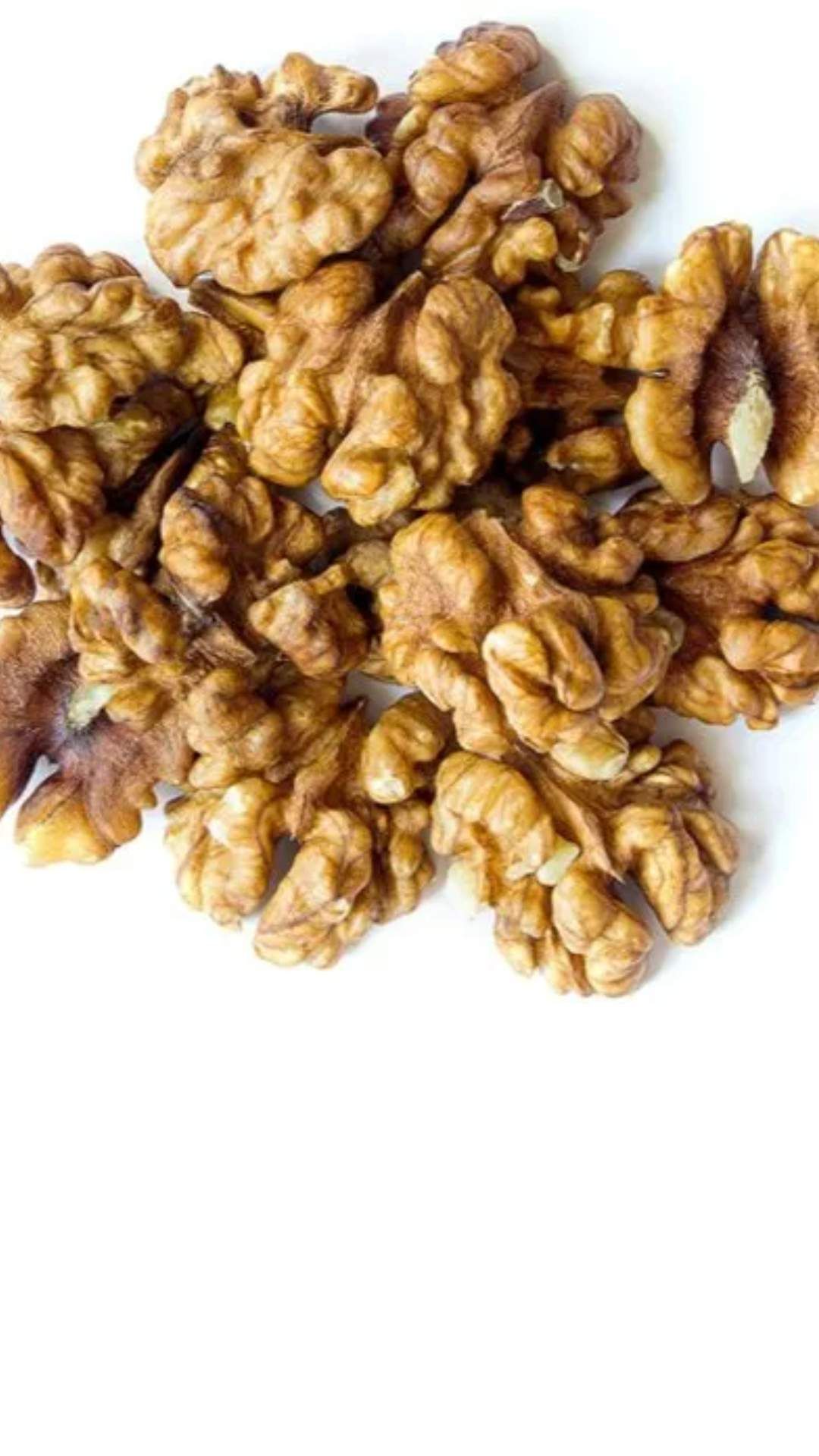walnut 1