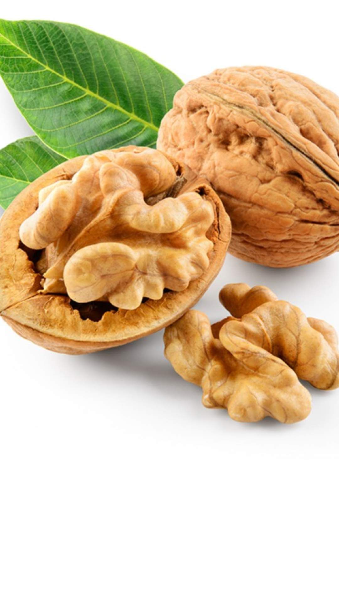 walnut 2