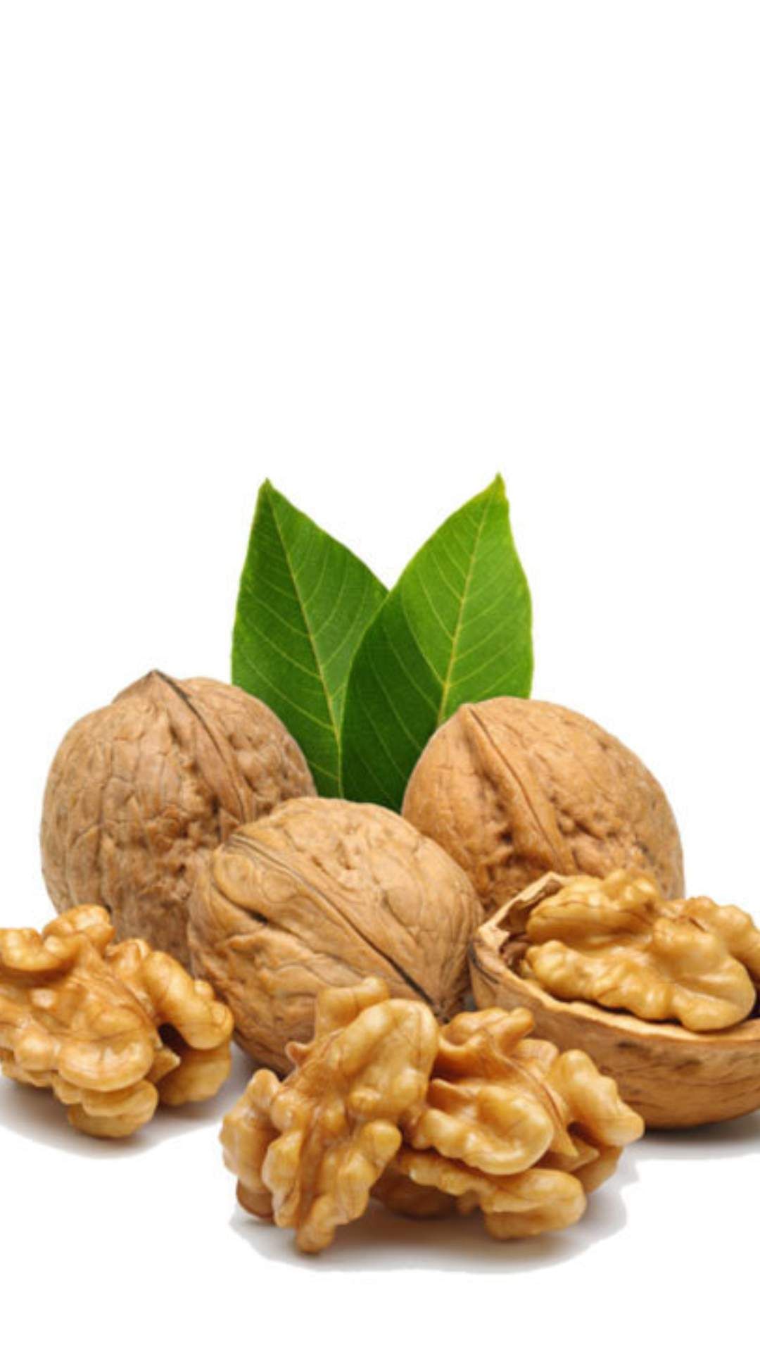 walnut 3