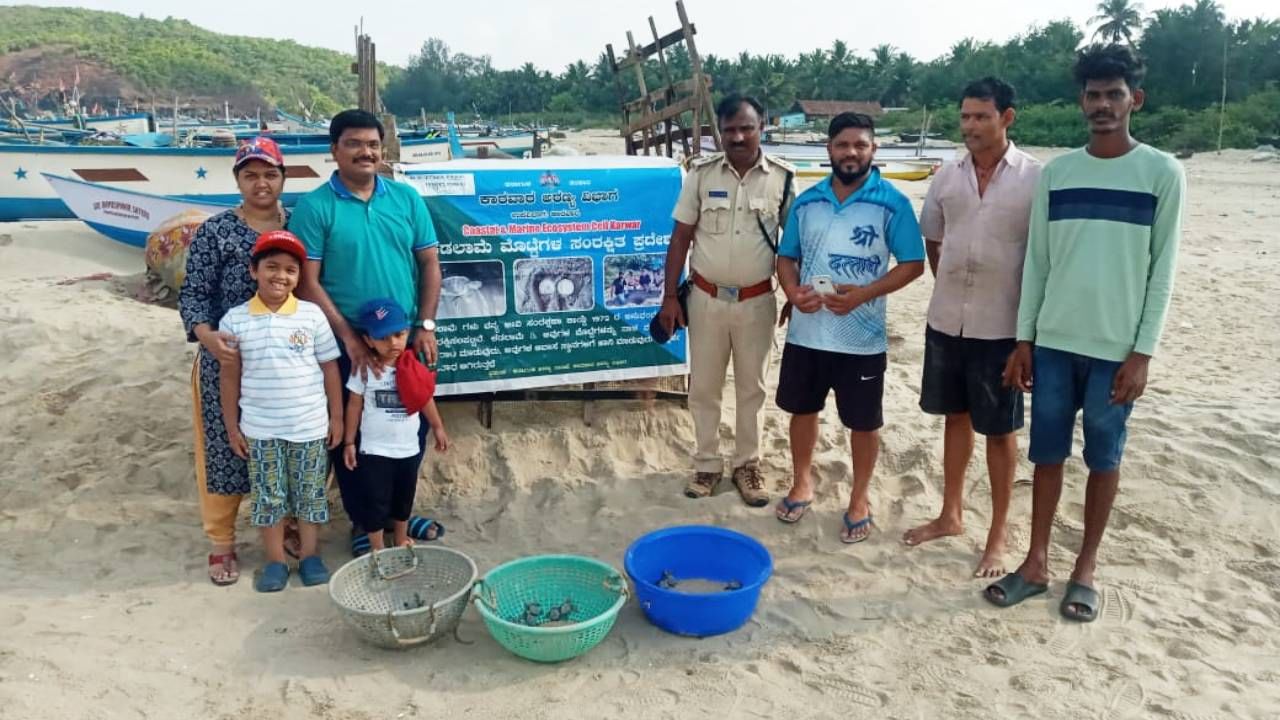 ಅರಣ್ಯಾಧಿಕಾರಿಗಳು ಮೊಟ್ಟೆಗಳನ್ನು ಸಂರಕ್ಷಣೆ ಮಾಡಿ, ಆಮೆ ಮರಿಗಳನ್ನ ಕಡಲು ಸೇರಿಸಿದ್ದಾರೆ.