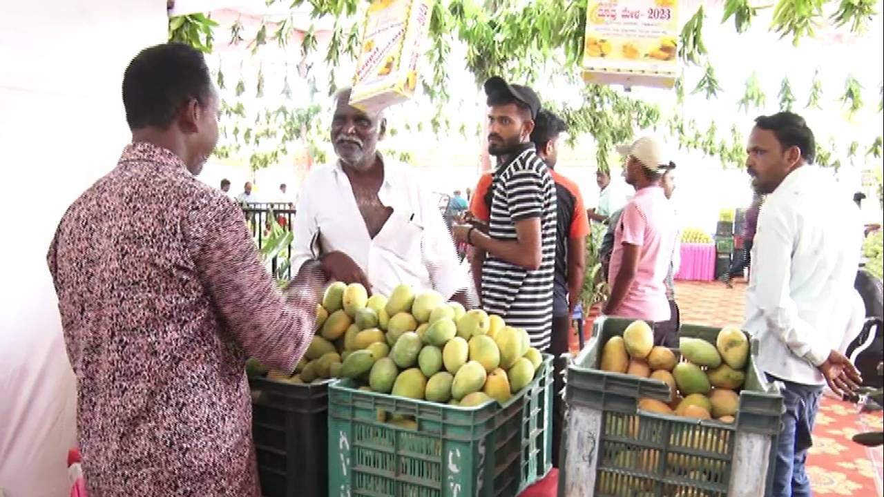 ಹೌದು ಕೊಪ್ಪಳ ಭಾಗದ ಮಾವು ಬೆಳಗಾರರು ಬೆಳೆದ ಮಾವಿನ ಹಣ್ಣು ಪ್ರದರ್ಶನ ಹಾಗೂ ಮಾರಾಟ ಮೇಳವನ್ನ ಆಯೋಜನೆ ಮಾಡಲಾಗಿತ್ತು. ಈ ಮಾವು ಮೇಳದಲ್ಲಿ ರೈತರು ತಾವು ಬೆಳೆದ ವಿವಿದ ಬಗೆಯ ಮಾವಿನ ಹಣ್ಣುಗಳನ್ನ ಮಾರಾಟಕ್ಕೆ ತಂದು ಇಡಲಾಗಿತ್ತು.