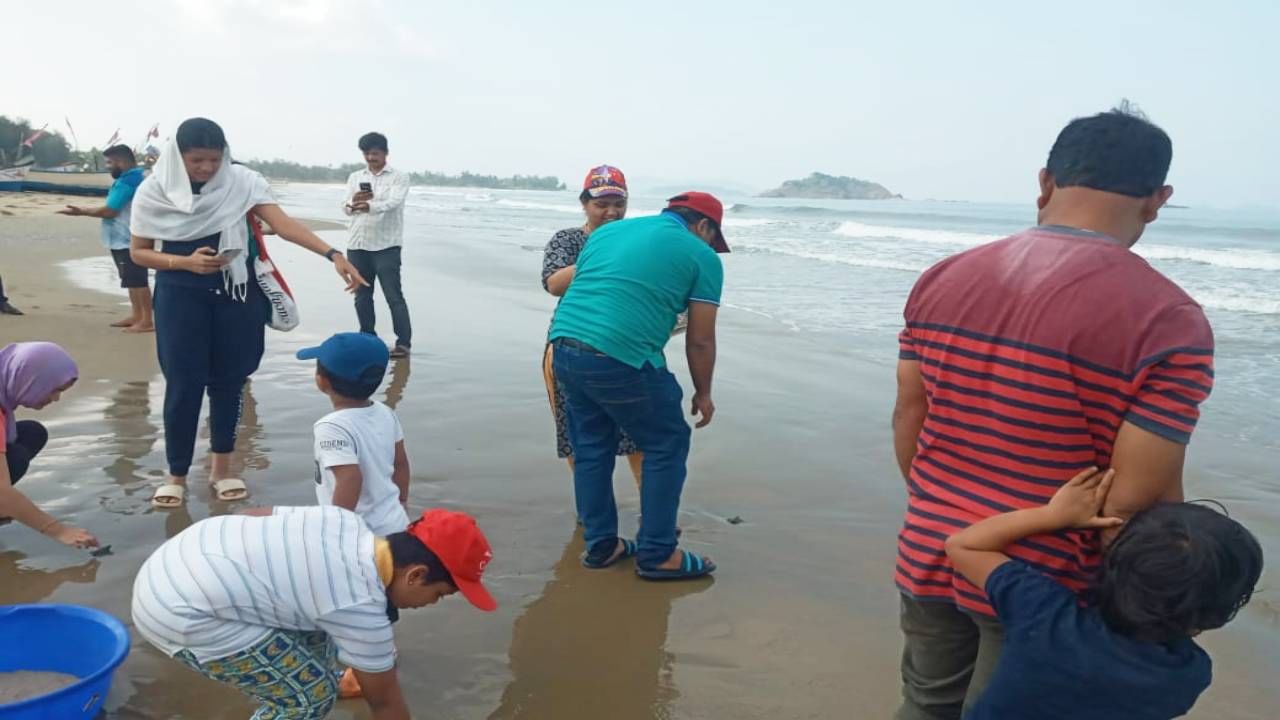 ಆರ್‌ಎಪ್‌ಓ ಪ್ರಮೋದ್ ನೇತೃತ್ವದಲ್ಲಿ ಈ ಕುರಿತು ಜಾಗೃತಿ ಮೂಡಿಸಿ, ಆಮೆ ಮರಿಗಳನ್ನ ಕಡಲು ಸೇರಿಸಿದರು.