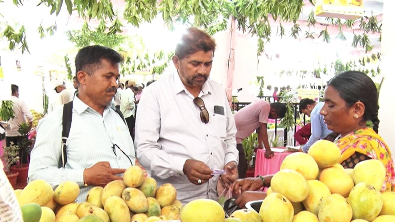 ರೈತರಿಂದ ನೇರವಾಗಿ ಗ್ರಾಹಕರಿಗೆ ತಲುಪಿಸುವ ಉದ್ದೇಶದಿಂದ ಮಾವು ಮೇಳವನ್ನ ಆಯೋಜನೆ ಮಾಡಲಾಗಿದೆ. ಜಿಲ್ಲೆಯ ರೈತರು ಮೇಳದಲ್ಲಿ ಭಾಗಿಯಾಗಿ ಮೇಳದಲ್ಲಿ ಮಾರಾಟ ಮಾಡಲು ಮುಂದಾಗಿದ್ದರು.