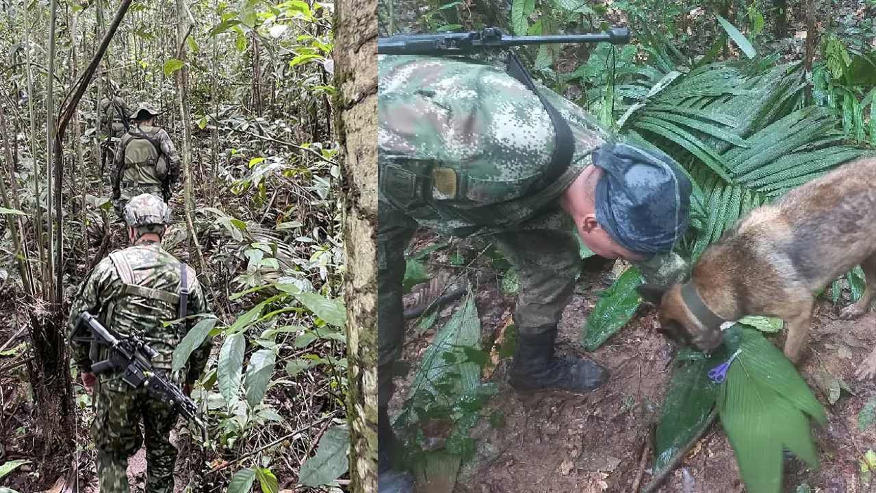 Amazon Forest: ವಿಮಾನ ಅಪಘಾತವಾಗಿ 1 ತಿಂಗಳಾಯ್ತು, ಅಮೆಜಾನ್ ಕಾಡಿನಲ್ಲಿ 4 ಮಕ್ಕಳಿಗಾಗಿ ನಿರಂತರ ಹುಡುಕಾಟ, ಬದುಕಿರಬಹುದೆಂಬ ಭರವಸೆ Amazon Forest: ವಿಮಾನ ಅಪಘಾತವಾಗಿ 1 ತಿಂಗಳಾಯ್ತು, ಅಮೆಜಾನ್ ಕಾಡಿನಲ್ಲಿ 4 ಮಕ್ಕಳಿಗಾಗಿ ನಿರಂತರ ಹುಡುಕಾಟ, ಬದುಕಿರಬಹುದೆಂಬ ಭರವಸೆ