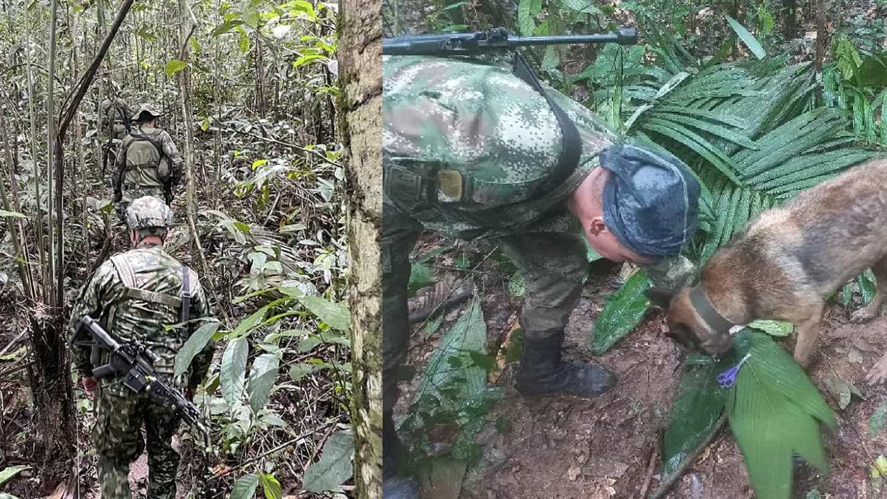 Amazon Forest: ವಿಮಾನ ಅಪಘಾತವಾಗಿ 1 ತಿಂಗಳಾಯ್ತು, ಅಮೆಜಾನ್ ಕಾಡಿನಲ್ಲಿ 4 ಮಕ್ಕಳಿಗಾಗಿ ನಿರಂತರ ಹುಡುಕಾಟ, ಬದುಕಿರಬಹುದೆಂಬ ಭರವಸೆ Amazon Forest: ವಿಮಾನ ಅಪಘಾತವಾಗಿ 1 ತಿಂಗಳಾಯ್ತು, ಅಮೆಜಾನ್ ಕಾಡಿನಲ್ಲಿ 4 ಮಕ್ಕಳಿಗಾಗಿ ನಿರಂತರ ಹುಡುಕಾಟ, ಬದುಕಿರಬಹುದೆಂಬ ಭರವಸೆ
