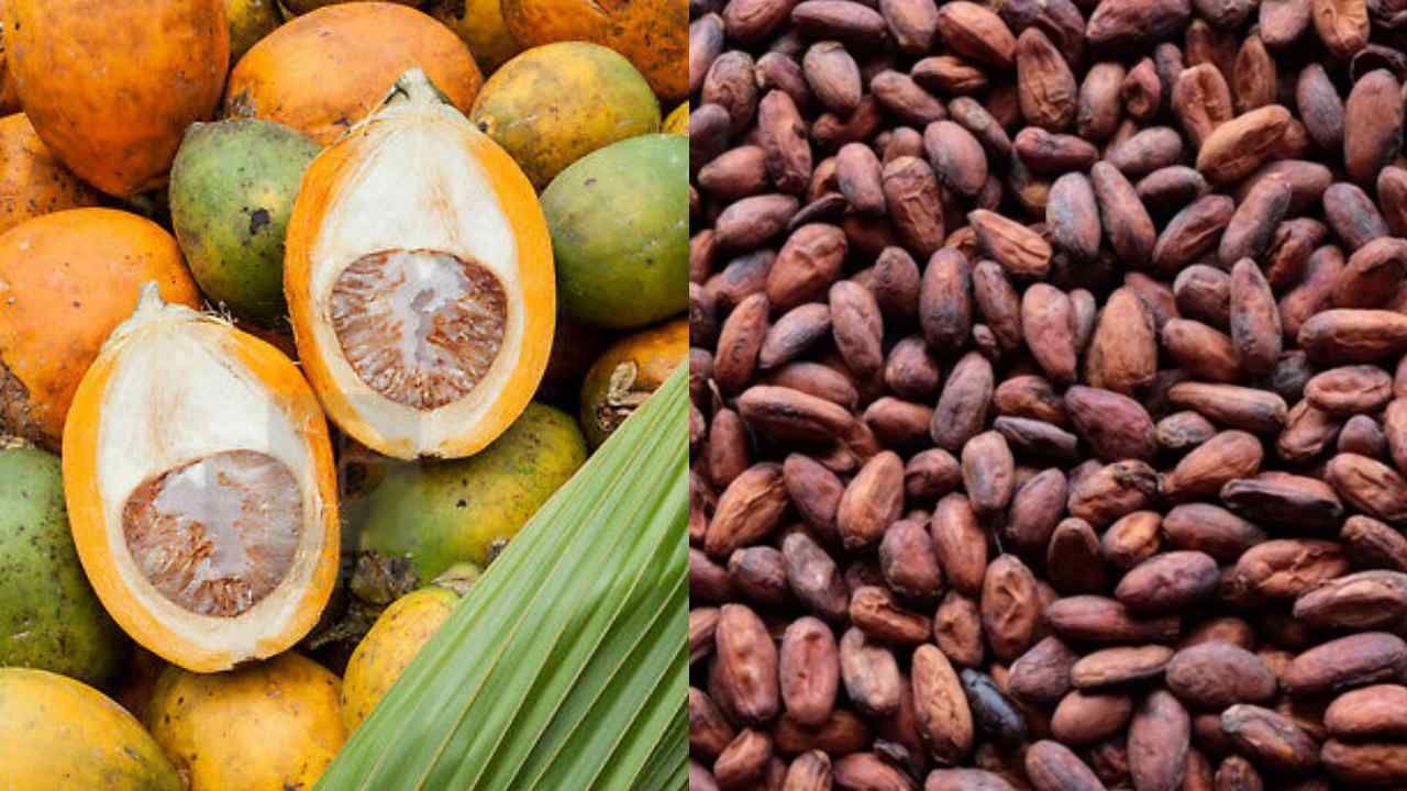 Arecanut Price: ಇಂದಿನ ಅಡಿಕೆ ಧಾರಣೆ, 19 ಮೇ 2023 ಅಡಿಕೆ ರೇಟ್ ಎಲ್ಲೆಲ್ಲಿ ಎಷ್ಟಿದೆ? ಇಲ್ಲಿದೆ ಮಾಹಿತಿ