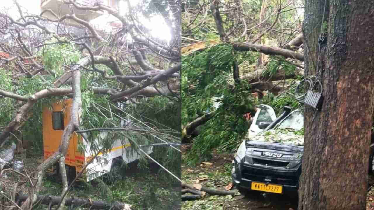 Bangalore Rain: ಬೆಂಗಳೂರಿನಲ್ಲಿ ಬಿರುಗಾಳಿ ಮಳೆಗೆ ಧರೆಗುರುಳಿದ ಮರಗಳು, ವಾಹನಗಳಿಗೆ ಹಾನಿ, ತಪ್ಪಿದ ದುರಂತ