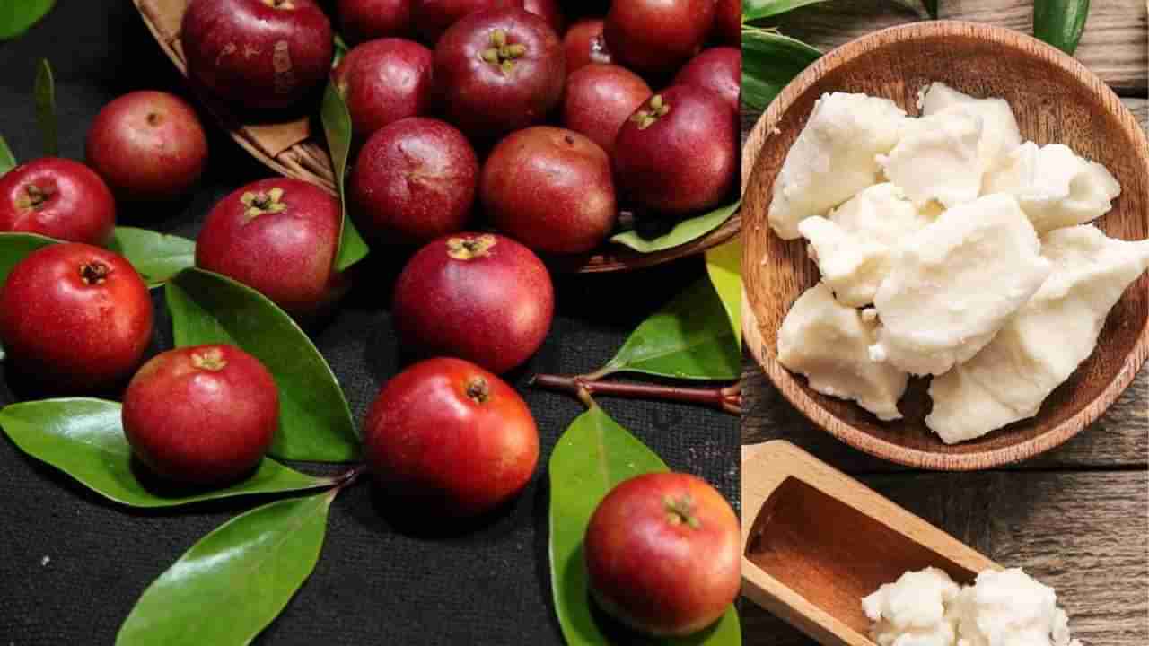 Kokum Butter: ಪುನರ್ಪುಳಿ ಬೆಣ್ಣೆಯ ಪ್ರಯೋಜನಗಳು; ಆರೋಗ್ಯಕರ ಚರ್ಮ ಮತ್ತು ಕೂದಲಿಗೆ ಬಳಸಿ ಈ ಔಷಧೀಯ ಬೆಣ್ಣೆ