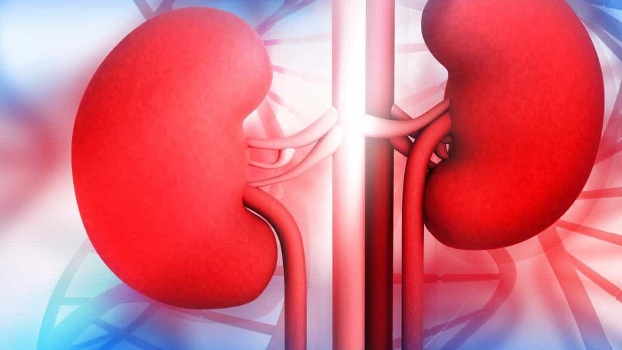Kidney Disease: ರಕ್ತದ ಮಾದರಿ ಮೂಲಕ ಟೈಪ್ 2 ಮಧುಮೇಹಿಗಳಲ್ಲಿ ಮೂತ್ರಪಿಂಡದ ಕಾಯಿಲೆ ಪತ್ತೆ ಮಾಡಬಹುದು: ಅಧ್ಯಯನ Kidney Disease: ರಕ್ತದ ಮಾದರಿ ಮೂಲಕ ಟೈಪ್ 2 ಮಧುಮೇಹಿಗಳಲ್ಲಿ ಮೂತ್ರಪಿಂಡದ ಕಾಯಿಲೆ ಪತ್ತೆ ಮಾಡಬಹುದು: ಅಧ್ಯಯನ