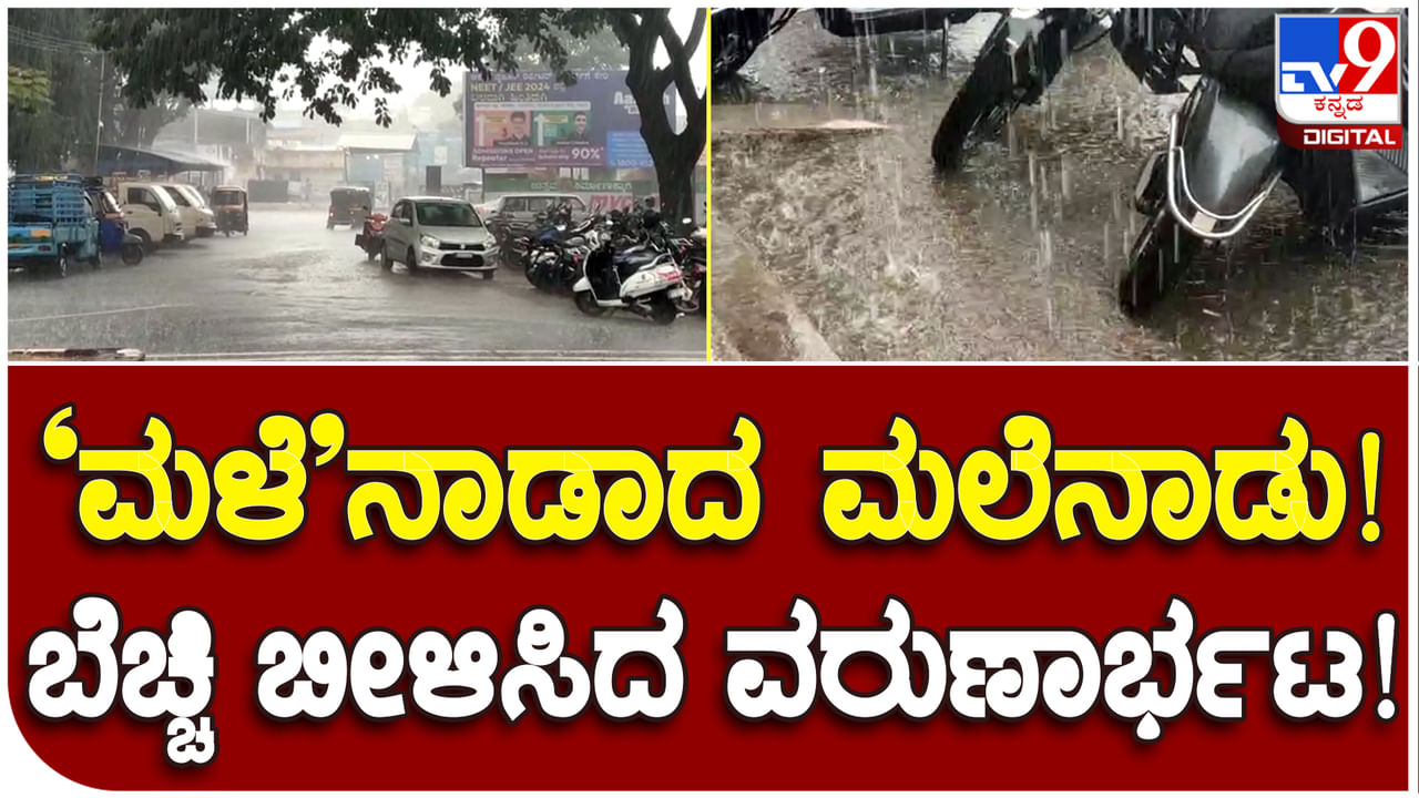 Chikkamagalur Rains: ಚಿಕ್ಕಮಗಳೂರು ಜಿಲ್ಲೆಯ ಹಲವೆಡೆ ಭಾರೀ ಮಳೆ