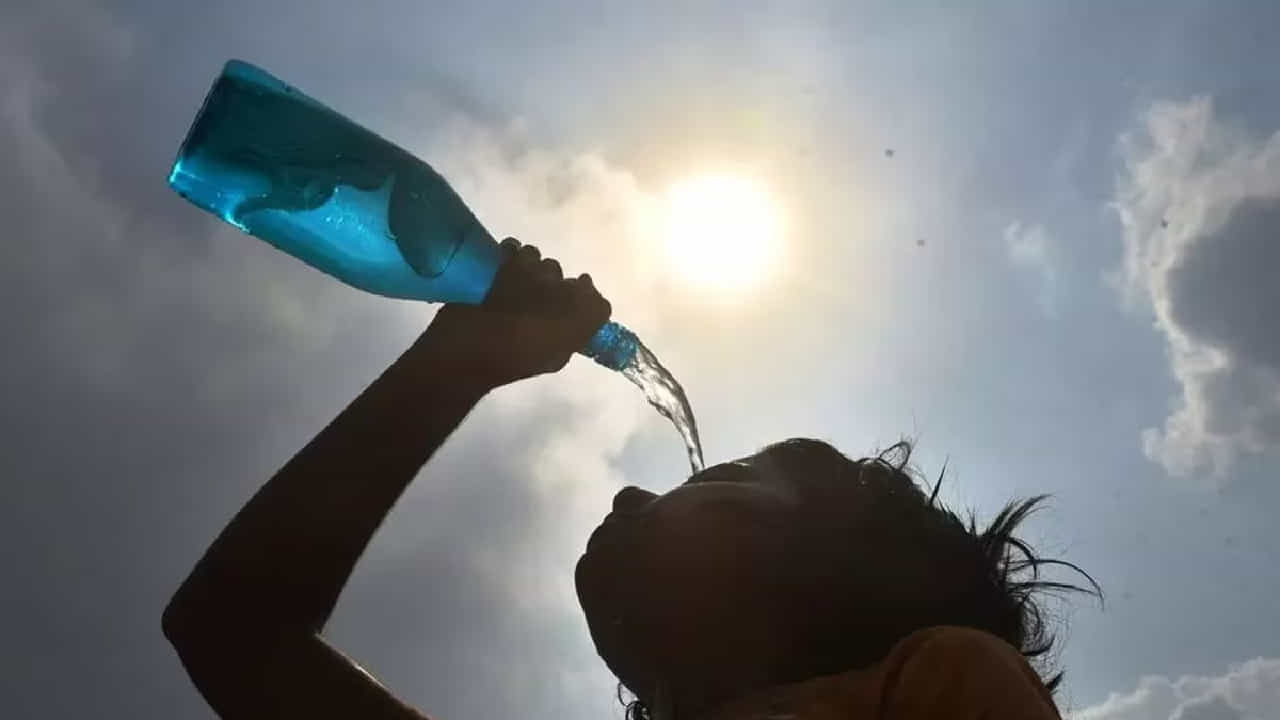 Summer Health Tips: ತಾಪಮಾನವು 45 ಡಿಗ್ರಿಗಳನ್ನು ದಾಟಿದಾಗ ದೇಹದಲ್ಲಿ ಸಂಭವಿಸಬಹುದಾದ ಬದಲಾವಣೆಗಳು Summer Health Tips: ತಾಪಮಾನವು 45 ಡಿಗ್ರಿಗಳನ್ನು ದಾಟಿದಾಗ ದೇಹದಲ್ಲಿ ಸಂಭವಿಸಬಹುದಾದ ಬದಲಾವಣೆಗಳು
