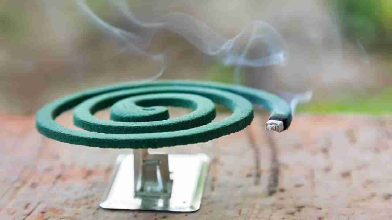 Mosquito Coil: ಸೊಳ್ಳೆ ಬತ್ತಿಯ ಹೊಗೆ ಸಿಗರೇಟ್​ಗಿಂತಲೂ ಅಪಾಯಕಾರಿ ಗೊತ್ತೇ?