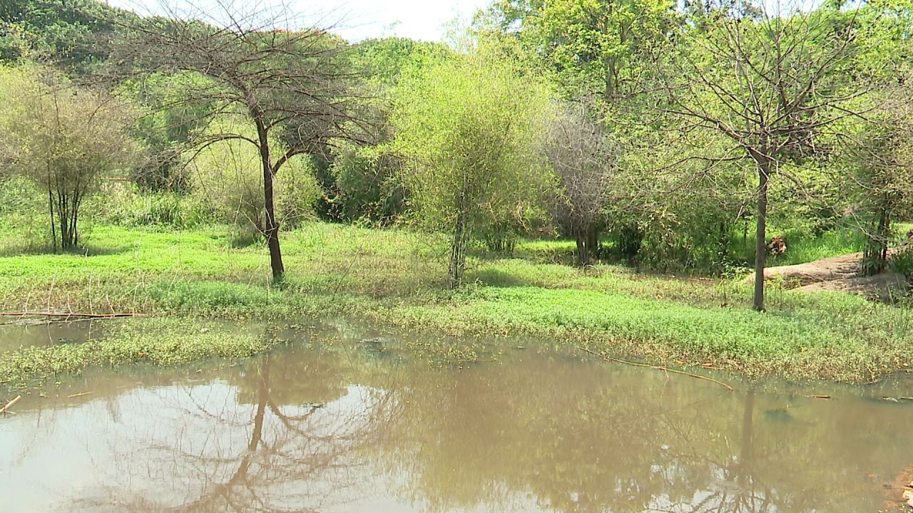 Bengaluru news drainage water flow in cubbon park