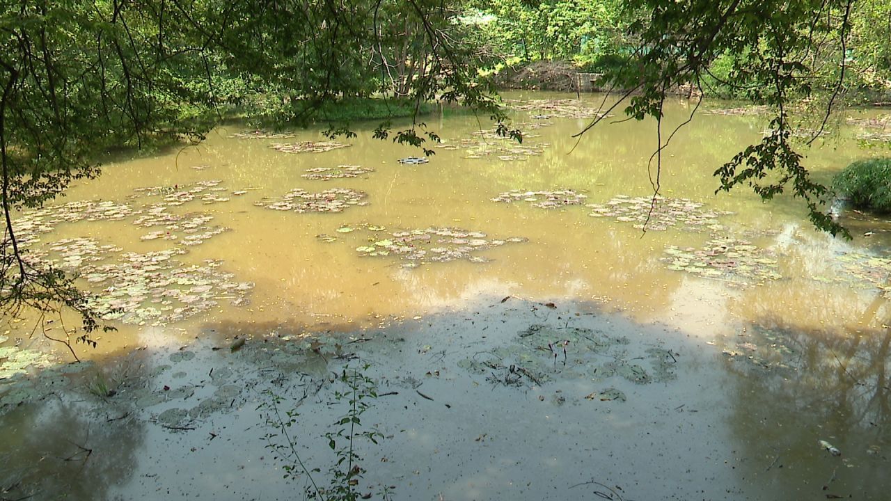 Bengaluru news drainage water flow in cubbon park