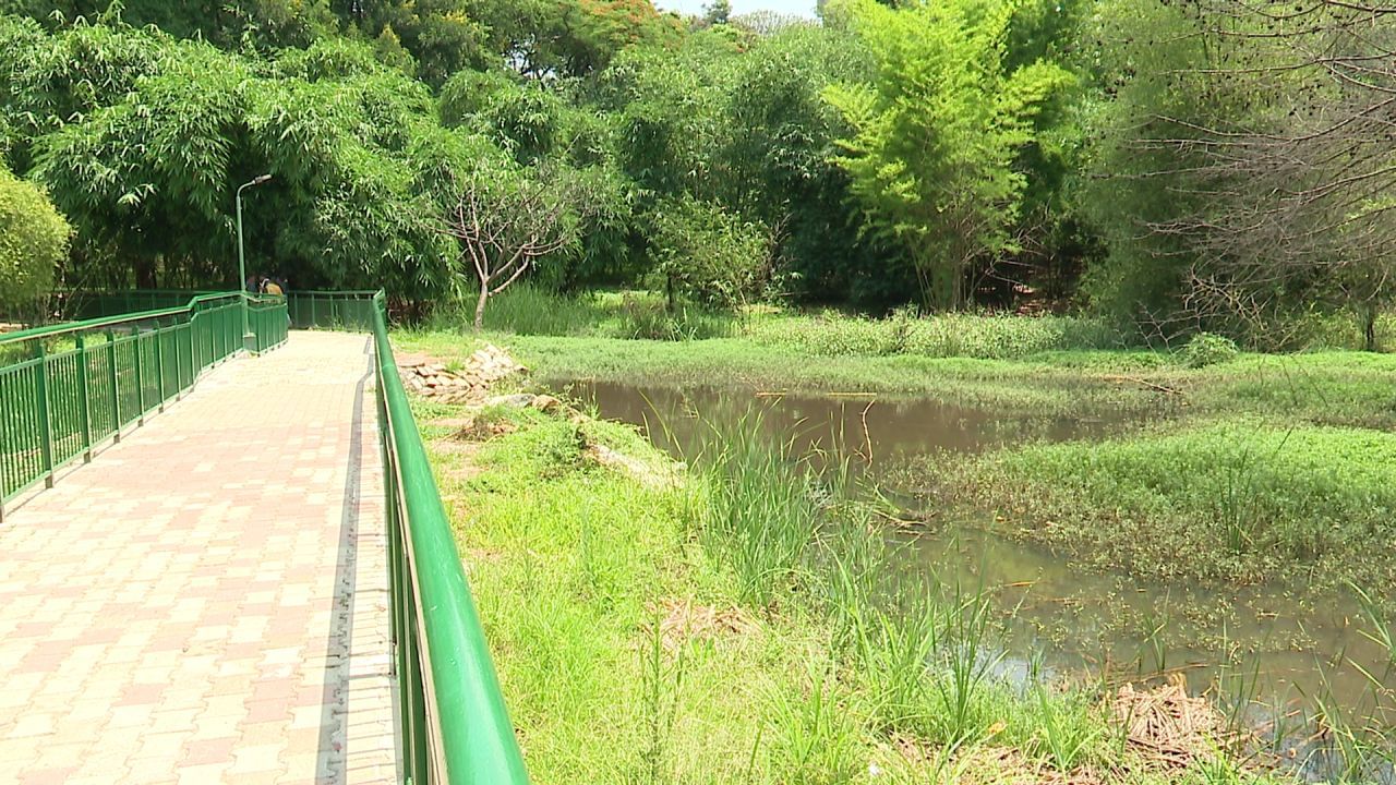 Cubbon Park: ಬೆಂಗಳೂರಿನ ಹಸಿರಿನ ಅರಸಿ ಕಬ್ಬನ್ ಪಾರ್ಕ್​ನಲ್ಲಿ ಮೂಗು ಮುಚ್ಚಿಕೊಂಡು ಓಡಾಡುವ ಸ್ಥಿತಿ