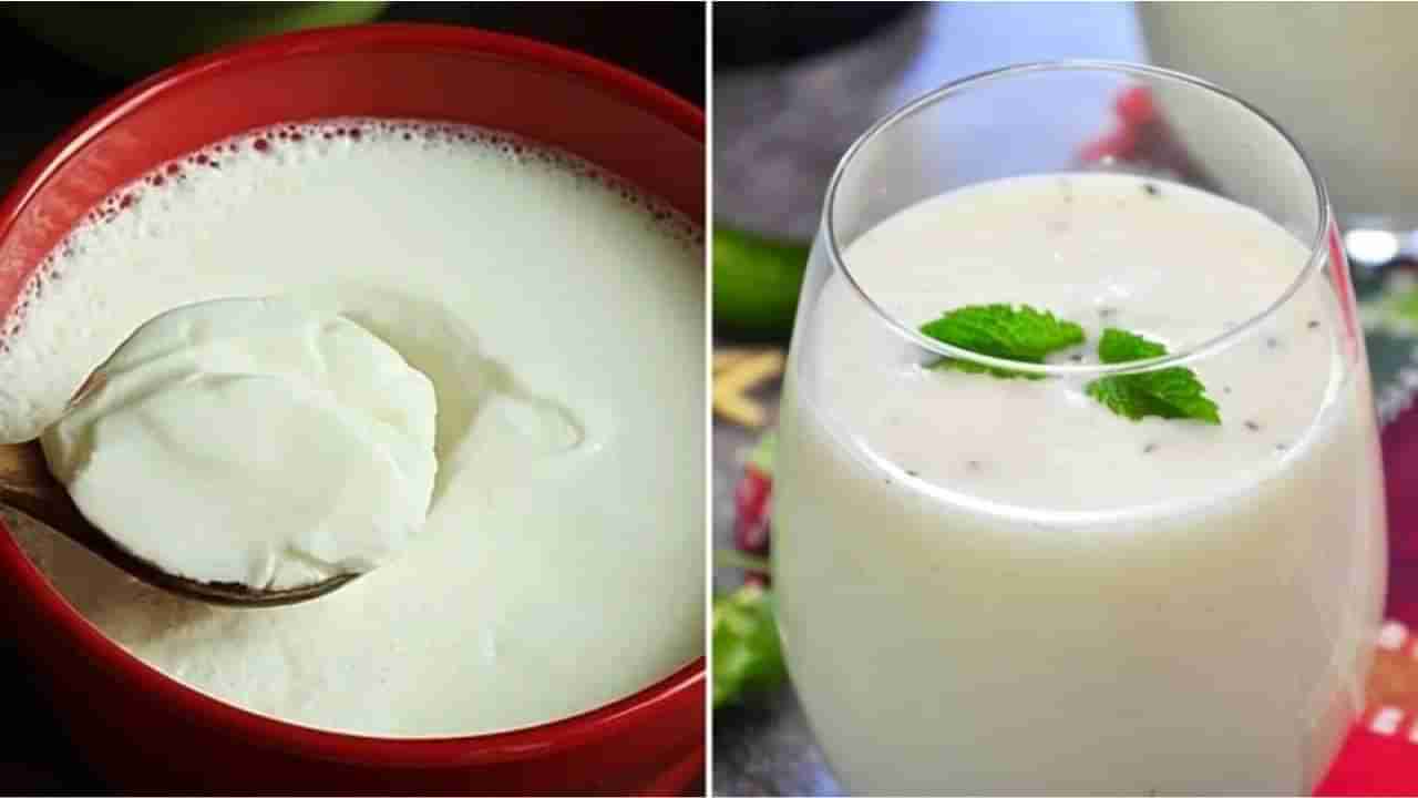 Curd Vs Buttermilk: ನಿಮ್ಮ ಆಯ್ಕೆ ಮೊಸರು ಅಥವಾ ಮಜ್ಜಿಗೆ; ಆರೋಗ್ಯಕ್ಕೆ ಉತ್ತಮ ಬೇಸಿಗೆ ಪಾನೀಯ ಯಾವುದು?